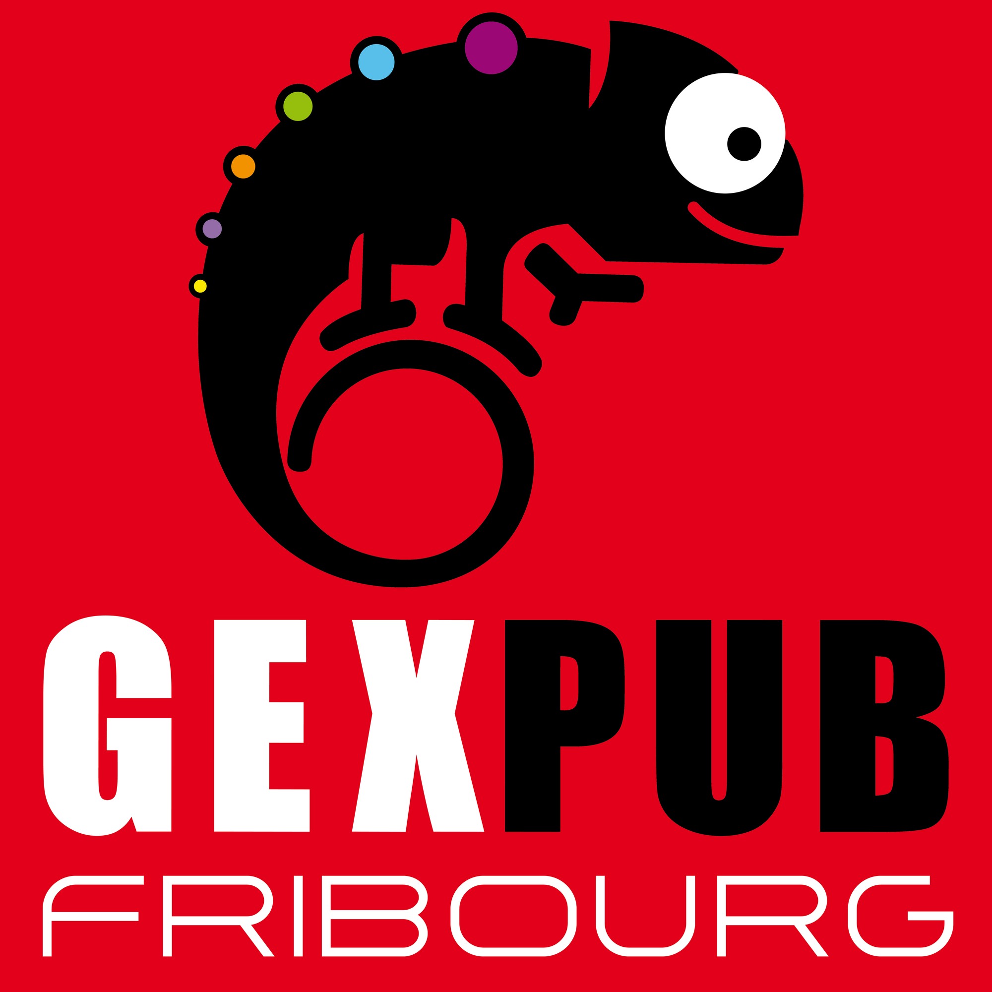 Logo Gex Pub
